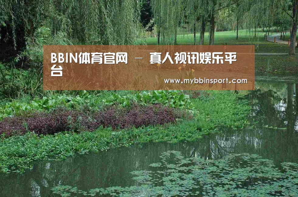 案例展示一(图1)