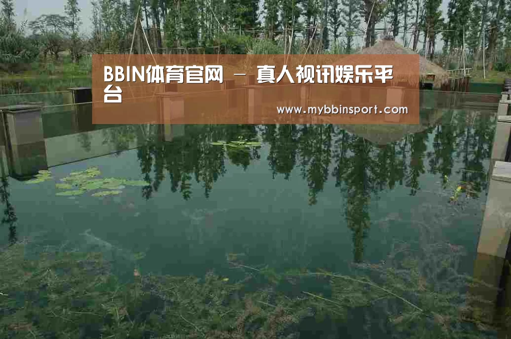 案例展示二(图1)