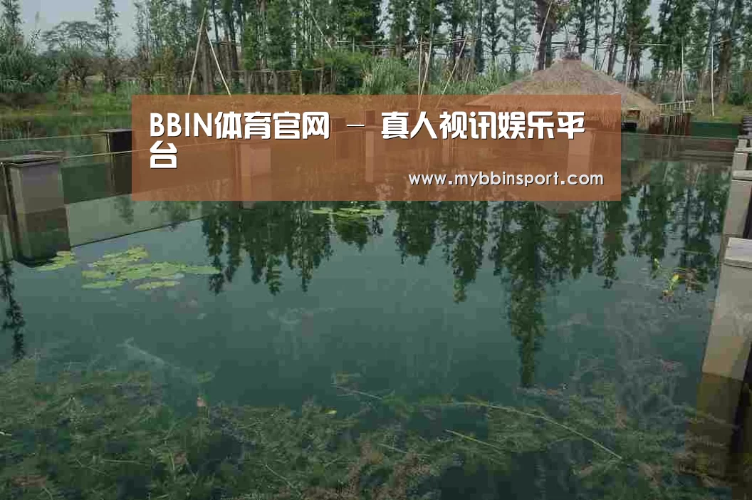 案例展示二