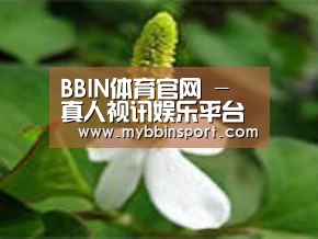 产品名称三
