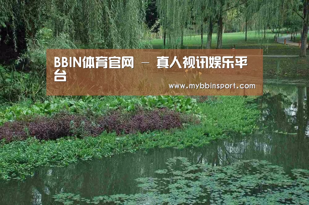 案例展示一