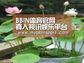 产品名称一