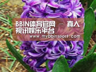 产品名称八