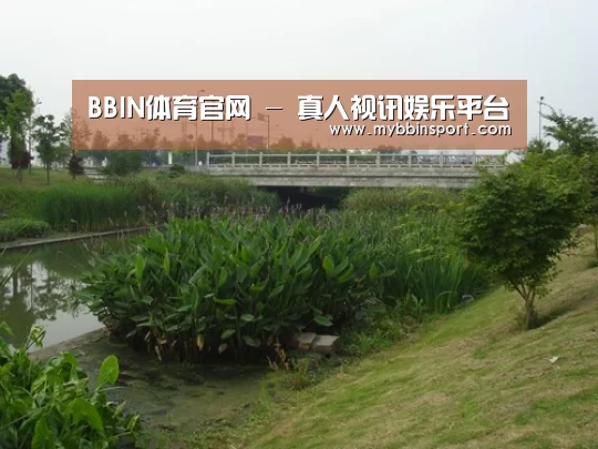 案例展示四