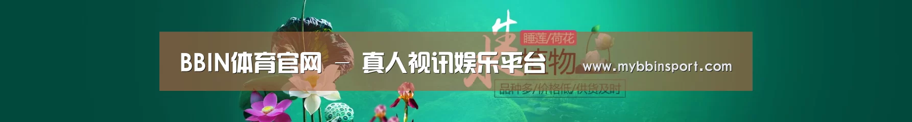 鲜花水草花卉网站模板