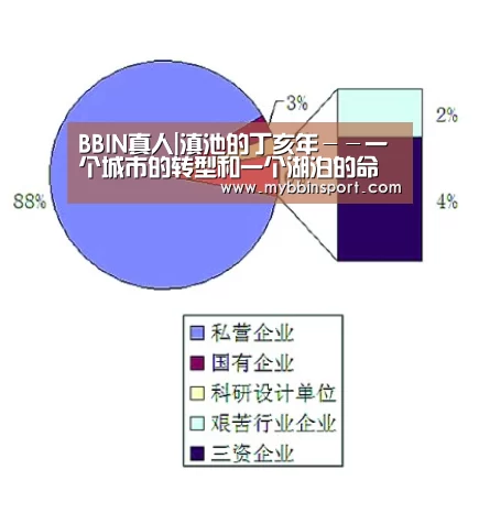 BBIN真人|滇池的丁亥年--一个城市的转型和一个湖泊的命运(图1) BBIN百家乐