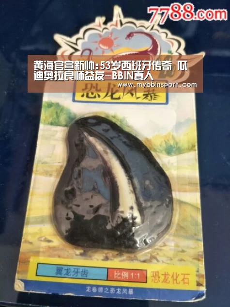 黄海官宣新帅:53岁西班牙传奇 瓜迪奥拉良师益友-BBIN真人(图1) BBIN登录