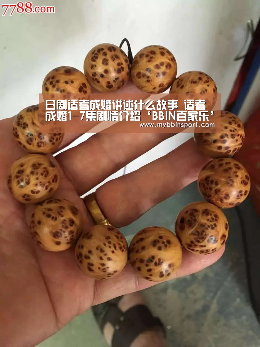 日剧适者成婚讲述什么故事 适者成婚1-7集剧情介绍‘BBIN百家乐’(图1) BBIN棋牌