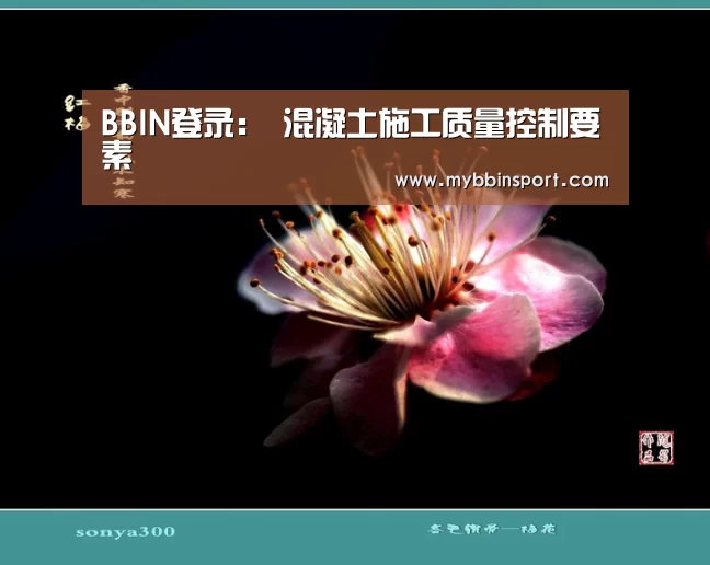 BBIN登录:
混凝土施工质量控制要素(图2) BBIN登录