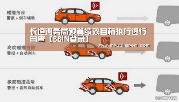 长垣河务局预算绩效目标执行进行自查【BBIN登录】(图1) BBIN百家乐