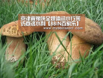 京津冀豫陕全媒体问水行采访商洛水利【BBIN百家乐】(图3) BBIN真人