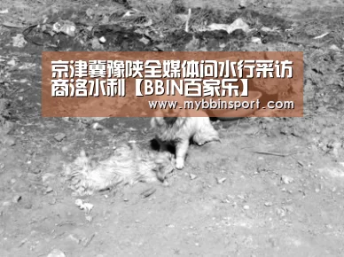 京津冀豫陕全媒体问水行采访商洛水利【BBIN百家乐】(图2) BBIN登录