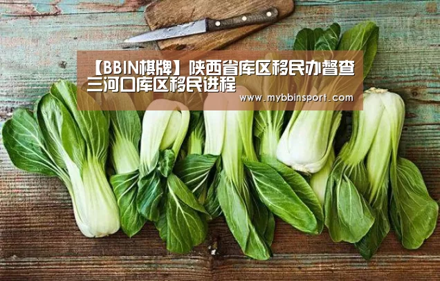 【BBIN棋牌】陕西省库区移民办督查三河口库区移民进程(图3) BBIN登录
